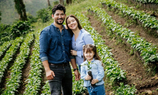 Why choose Nicaraguan coffee?