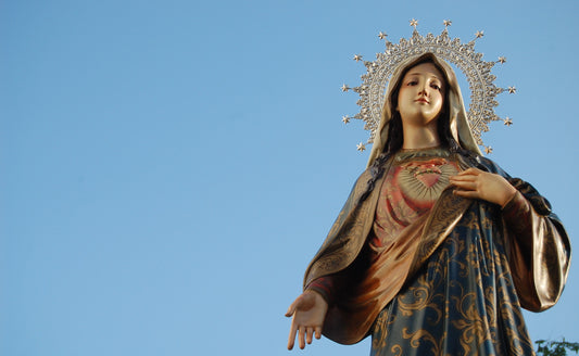 The Immaculate Heart of Mary
