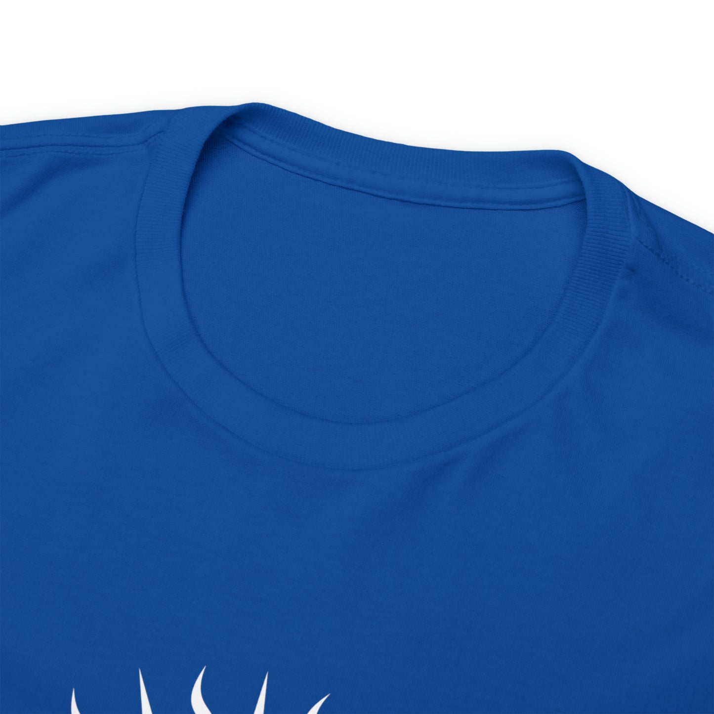 JHS - Unisex Heavy Cotton Tee