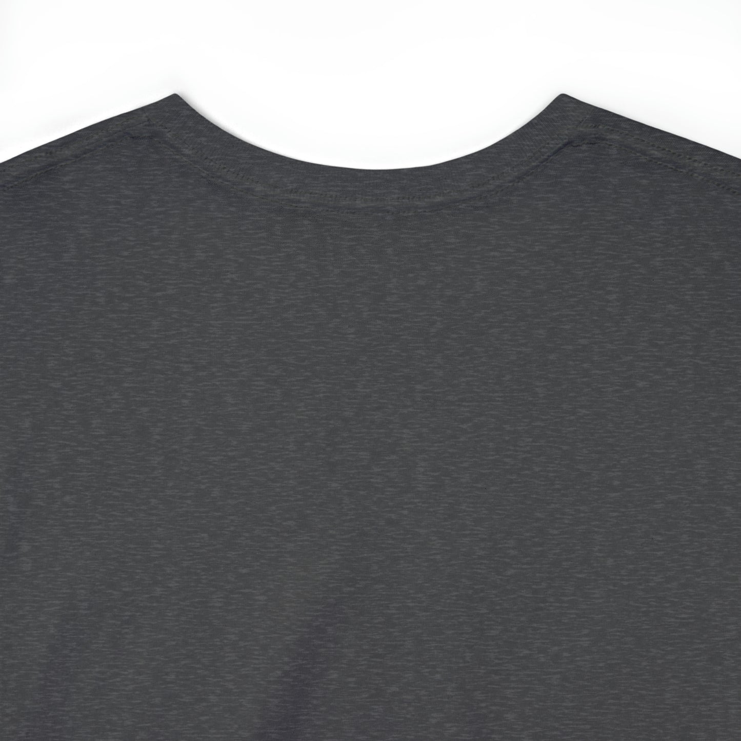 Catholic State Panama - Unisex Heavy Cotton Tee