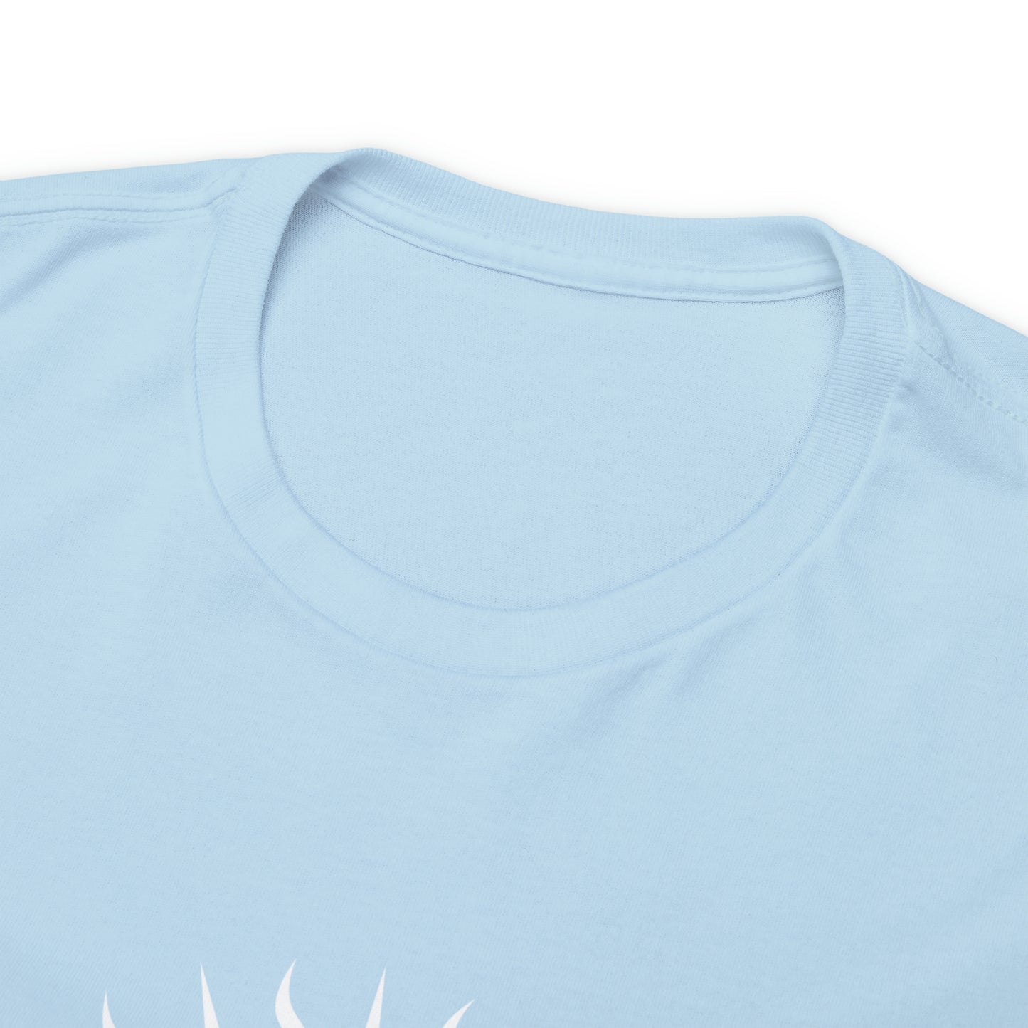 JHS - Unisex Heavy Cotton Tee