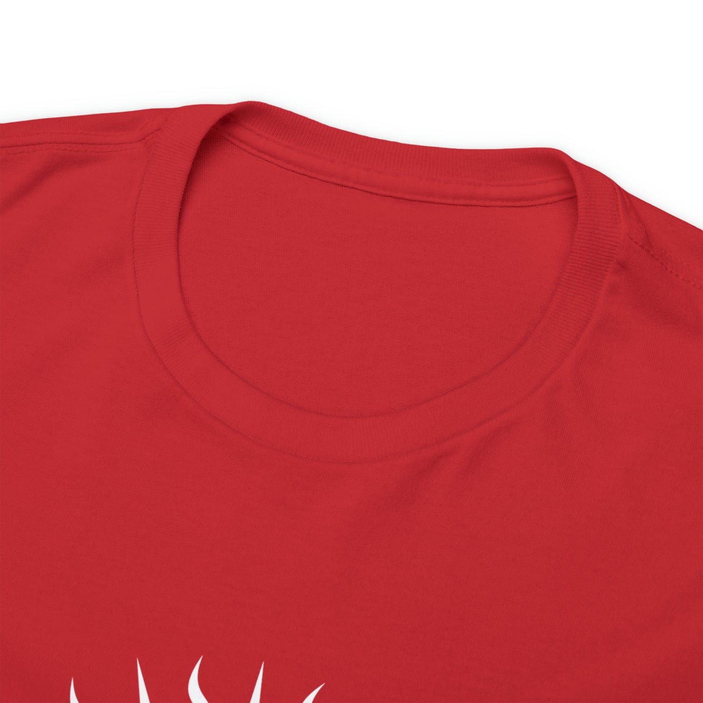 JHS - Unisex Heavy Cotton Tee