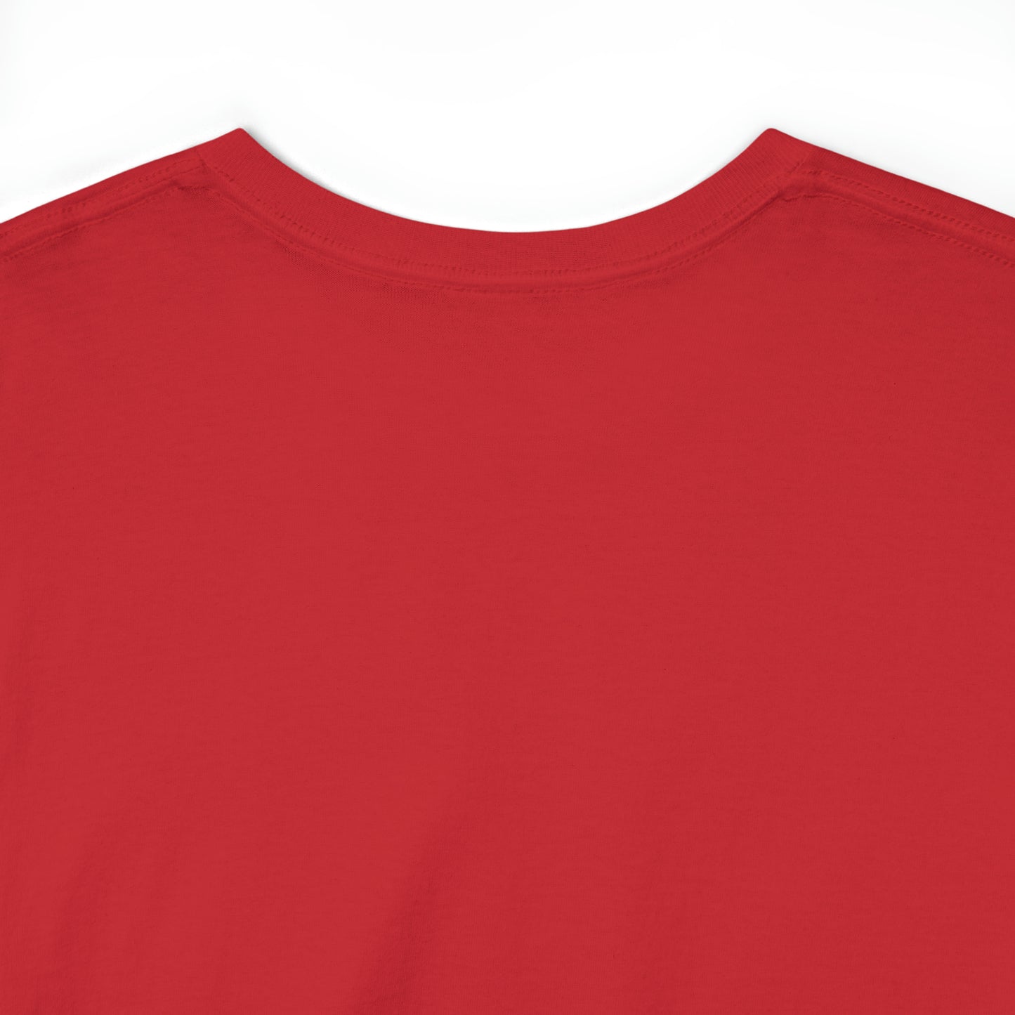 Catholic State Panama - Unisex Heavy Cotton Tee