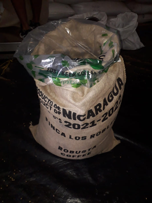 10 LBS of Green Robusta Coffee Beans