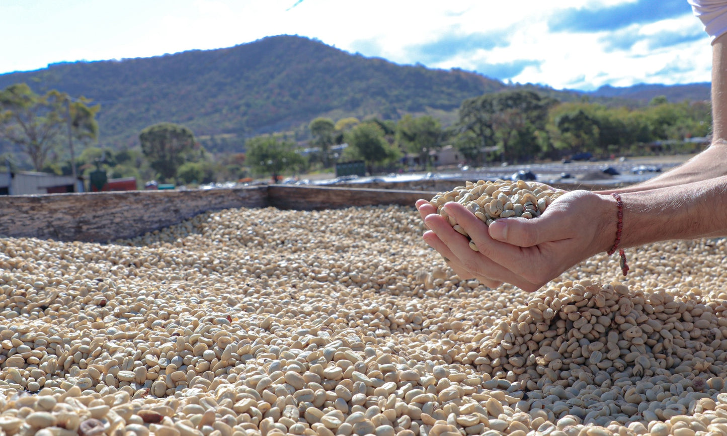 Pallet of Coffee